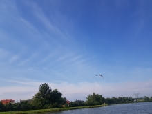  foto: Bartek Gawęda