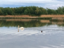 Wieczór nad Wisłokiem cudowny | szkolenia motorowodne Charter.edu.pl foto: Kasia Koj