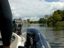  foto: Tomasz Cieślar