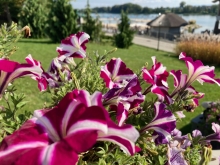 Szkolenie na patent sternika motorowodnego | Charter.edu.pl foto: Katarzyna Koj