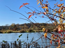 Szkolenie na patent sternika motorowodnego w Krakowie | Charter.edu.pl foto: Katarzyna Kowalska