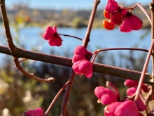 Szkolenie na patent sternika motorowodnego w Krakowie | Charter.edu.pl foto: Katarzyna Kowalska