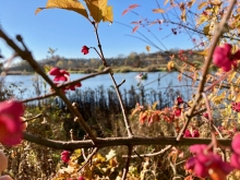 Szkolenie na patent sternika motorowodnego w Krakowie | Charter.edu.pl foto: Katarzyna Kowalska