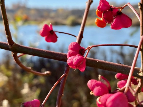 Jesienne szkolenie motorowodne w Krakowie