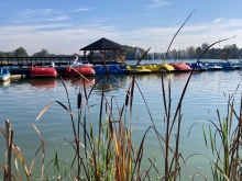 Szkolenie na patent sternika motorowodnego zakończone egzaminem | Charter.edu.pl foto: Kasia Kowalska